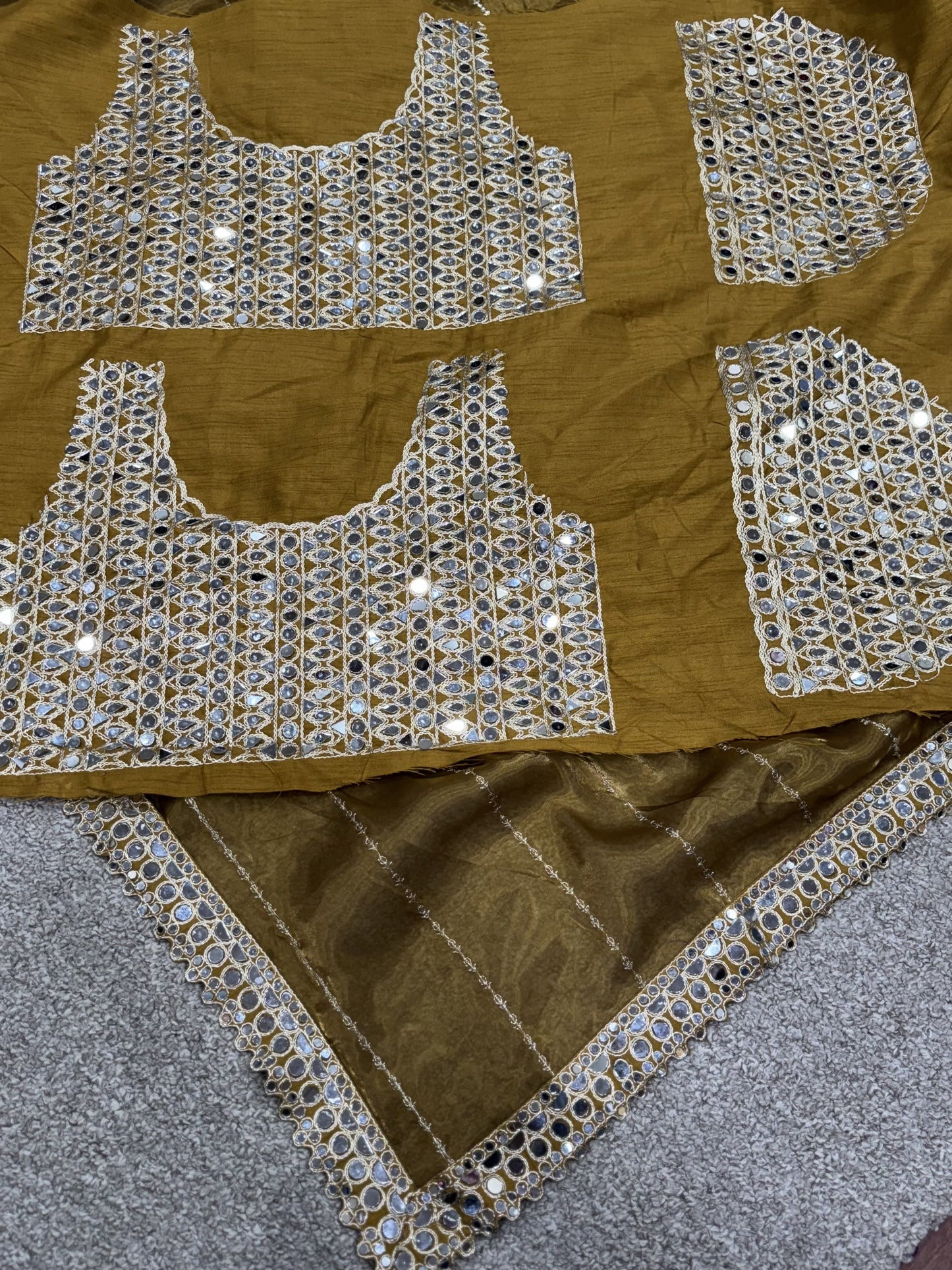 Jimmi Chu Silk Saree with Real Mirror Work Border