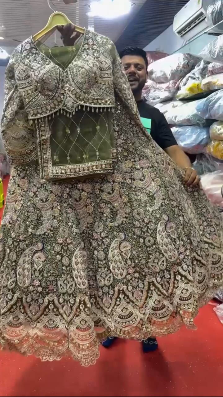 Peacock Design Light Sky Color Soft Net Coding Embroidered Work Lehenga Choli