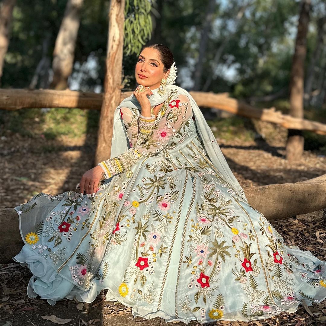Party Wear Embroidary Work Beautiful Gown With Real Mirror