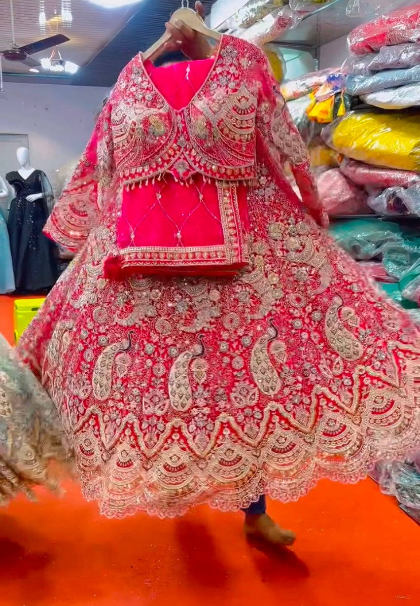 Sky Color Soft Net Coding Embroidered Work Peacock Design Lehenga Choli