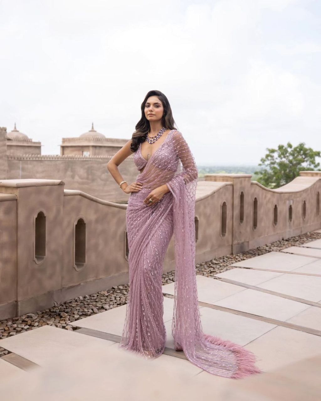 Onion Color Soft Net Sequence Work Saree