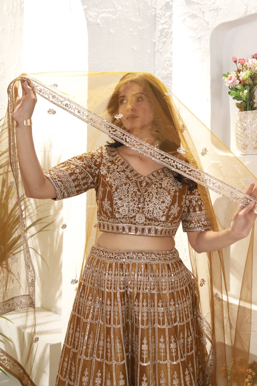 Rust Color Soft Net Dori Embroidered Work Lehenga Choli