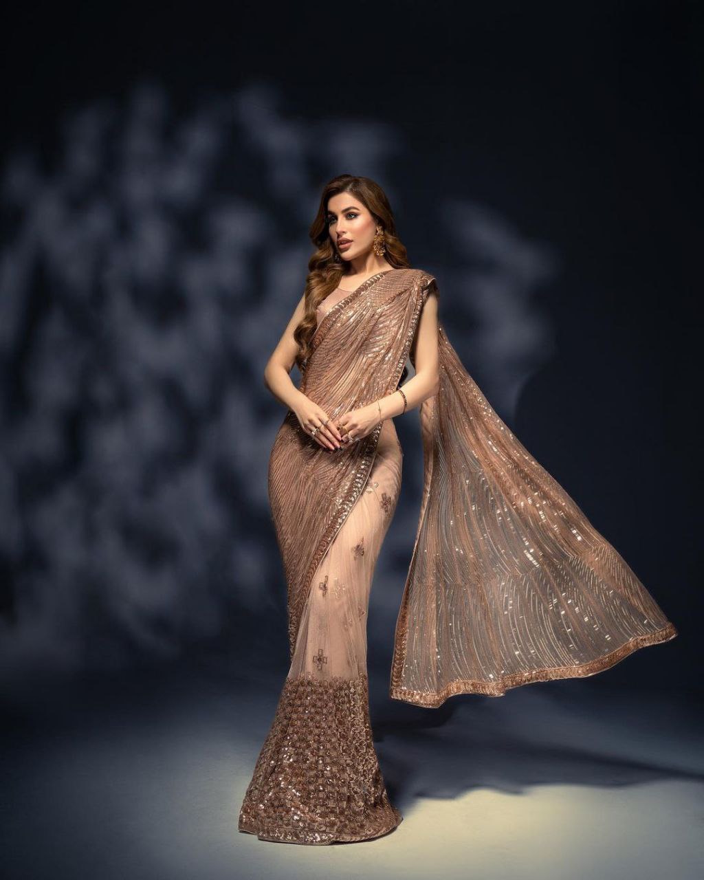 Chiku Color Soft Net Sequence Work Heavy Saree