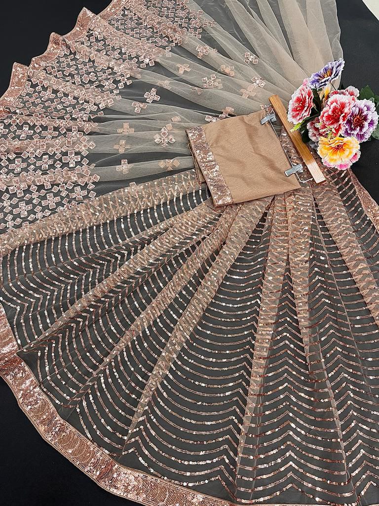 Chiku Color Soft Net Sequence Work Heavy Saree