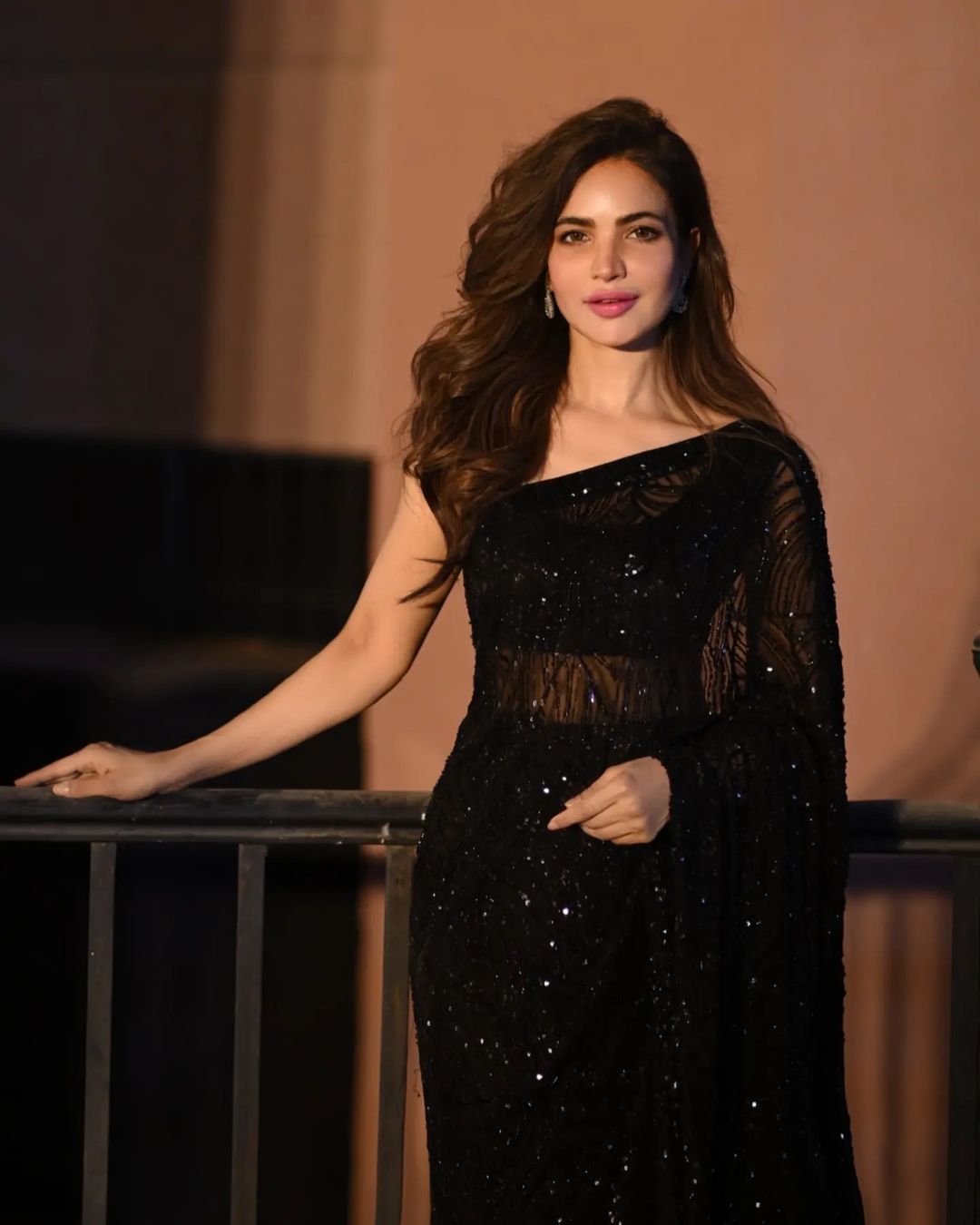 Designer Black Georgette Sequence Work Saree Blouse