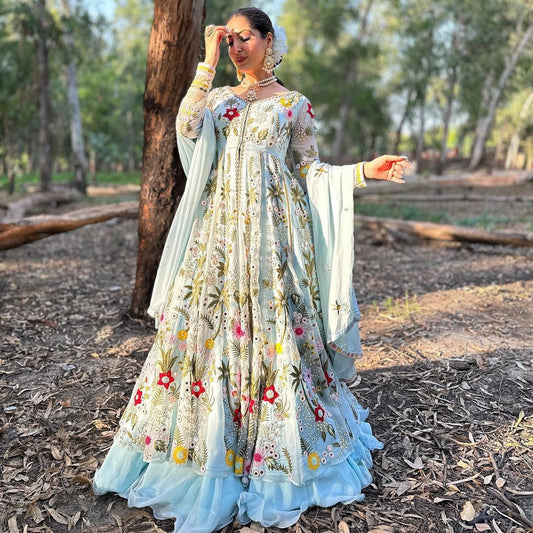 Party Wear Embroidary Work Beautiful Gown With Real Mirror