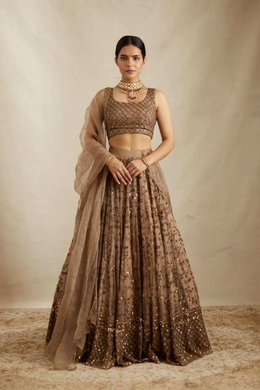 Glemorous Light Brown Colour Soft Net Sequence Worked Lehenga Choli