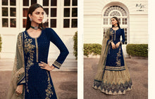 Load image into Gallery viewer, Georgette Embroidary Work Top With Net Embroidary Work Indo Western Suit
