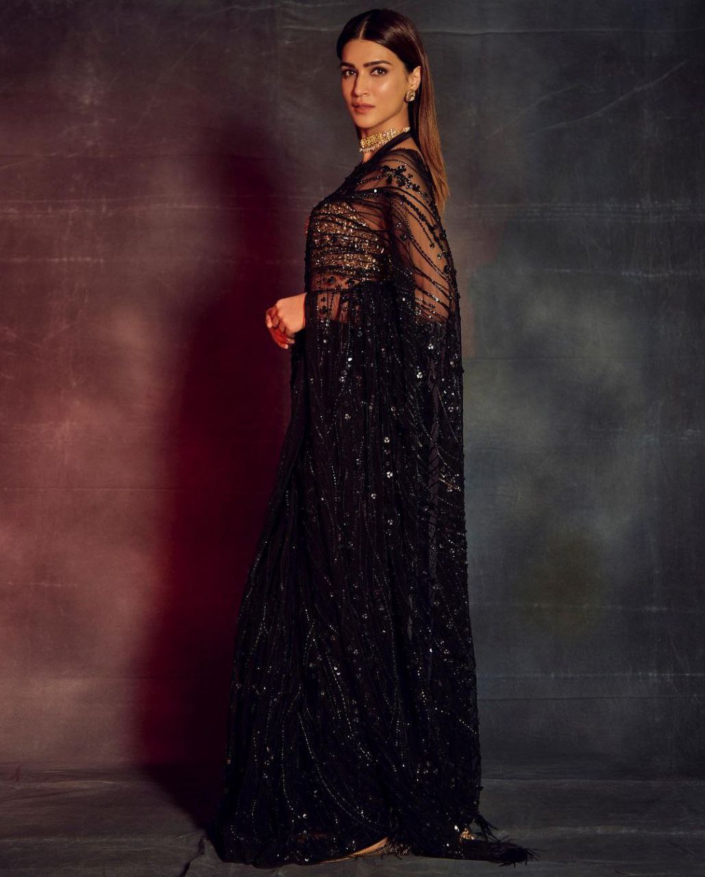 Beautiful Mono Net Embroidary And Sequence Work Saree With Sequence Worked Blouse