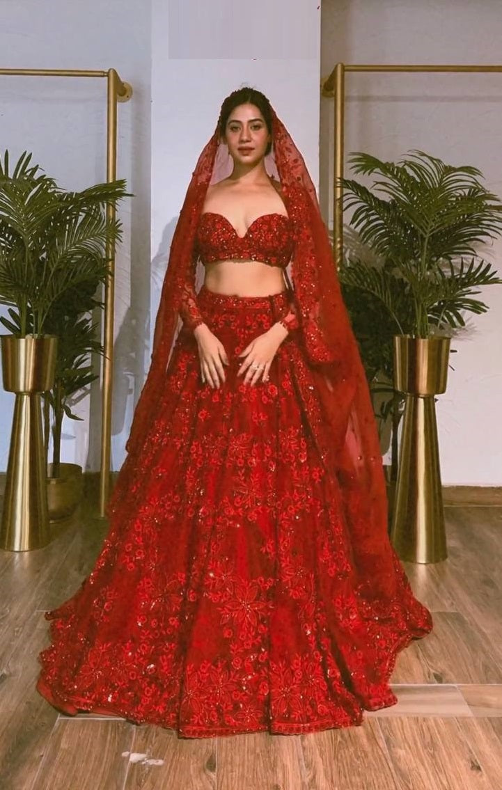Red Net Lehenga Choli