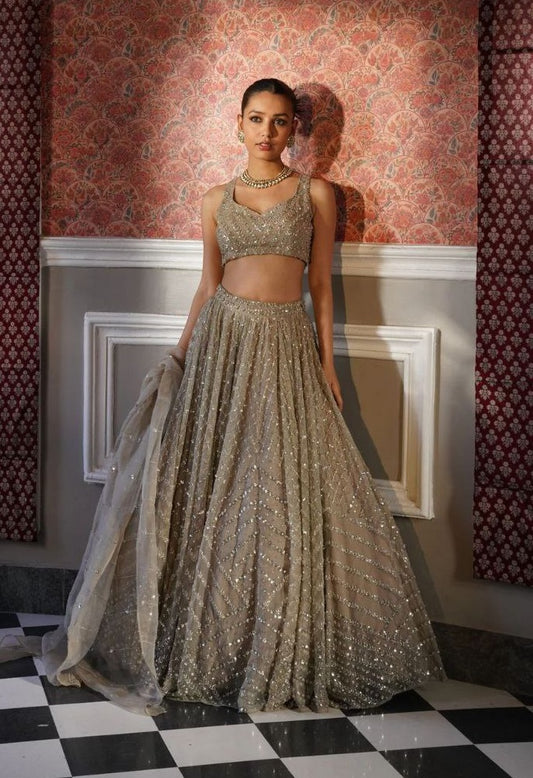 Rust Color Organza Silk Sequence Work Lehenga Choli
