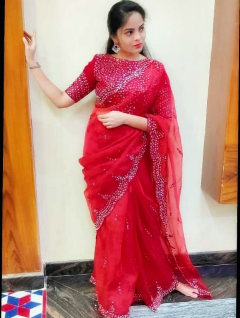 Flattering Organza Design Mirror Thread Work Saree Blouse For Women