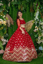 Load image into Gallery viewer, Wedding Wear Red color Soft Net Embroidered Lehenga Choli
